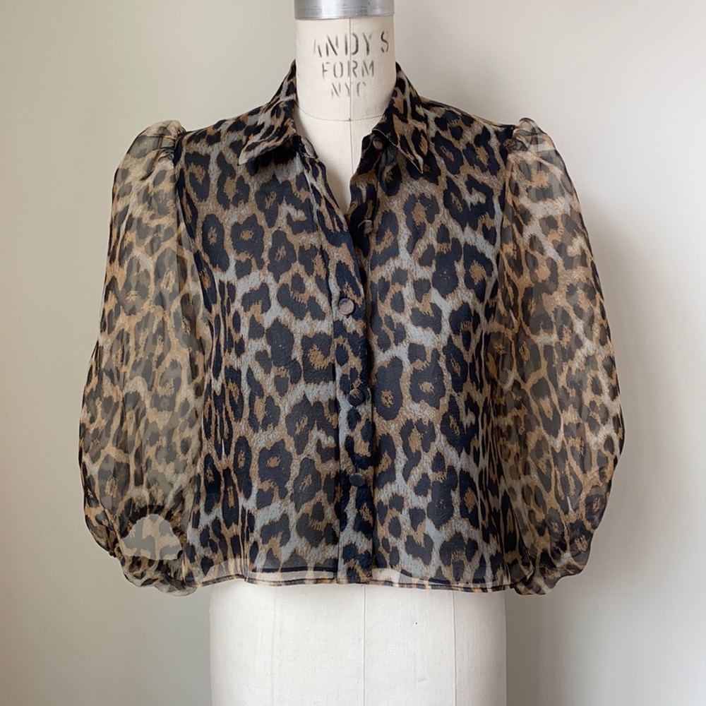 ZARA Balloon Sleeve Blouse